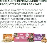 Suet To Go Berry Suet Block 10 x 300 g Bird Food UK Made view 3