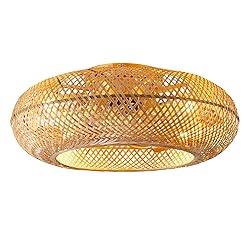 20" Boho Ceiling Fans with Lights and Remote