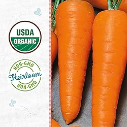 Back to the Roots - 100% Organic Seed Packet