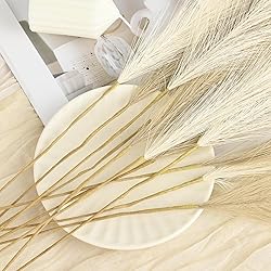 U-LIAN 36PCS Faux Pampas Grass 21.7 Inch, Small