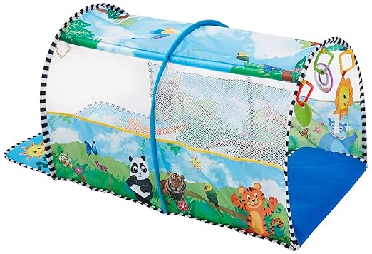 baby einstein 2 in 1