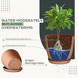 Utopia Home - Plant Pots Indoor with Drainage