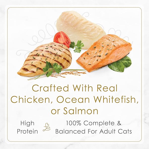 PURINA FANCY FEAST GOURMET WET CAT FOOD VARIETY PACK, PETITES GRAVY COLLECTION, BREAK-APART TUBS, 24 SERVINGS – (PACK OF 12) 2.8 OZ. TUBS