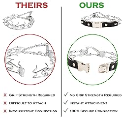 Herm Sprenger Prong Collar for Dog Training with