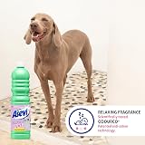 Asevi Concentrated Pet Friendly Floor Cleaner 1L – Laminate Stone Safe view 2