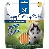 Amazon.com : Biting Shirt for Dogs/BE Careful I BITE/Grey Puppy ...