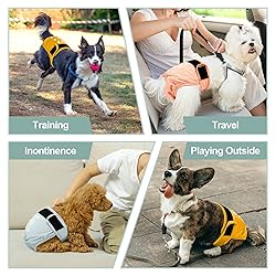 Female Dog Diapers - Premium Reusable Diapers for