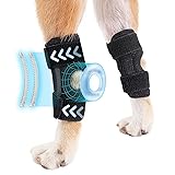 peepbo Dog Hind Leg Brace: Hock & Ankle Support for