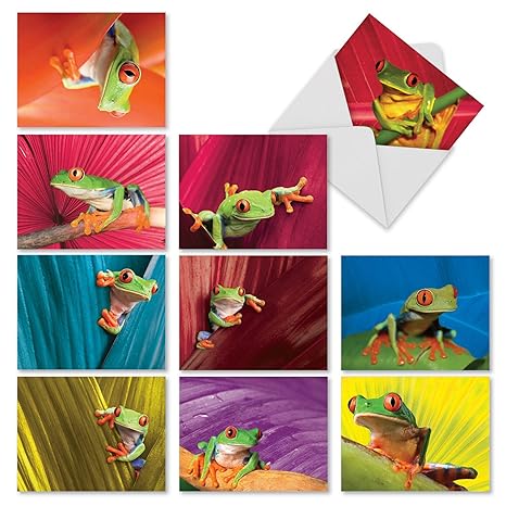 10 Frog Days Note Cards With Envelopes Assorted Blank Greeting Cards Featuring Frogs All Occasion Cards For Birthday Thank You Congratulations