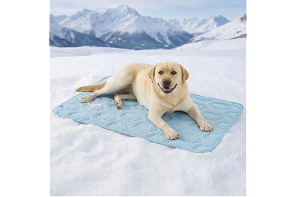 LE SURE Dog Cooling Mat for Extra Large Dogs -Q-Max>0.5 XL Breathable Thin Cool Crate Pad with Chill Cold Fiber and Innovative Mesh Base Design, Portable Washable Pet Kennel Mat for Summer,44x30,Blue