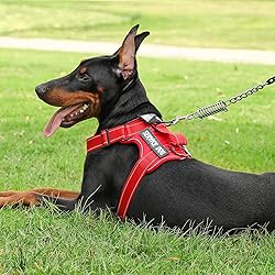 Demigreat Service Dog Harness, Reflective Dog Vest