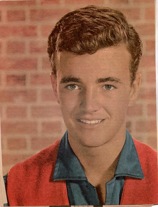 Robert Walker Jr 8x10 three page magazine photo clipping J7948 at ...
