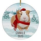 Santa Hat and Scarf Welcome Winter American Guinea