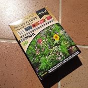 Huerto Urbano - Mix de flores Terrenos secos - Batlle: Amazon.es ...