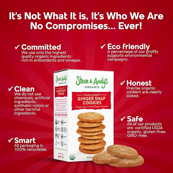 STEVE & ANDY’S ORGANIC GINGERBREAD COOKIES, 5.5 OZ