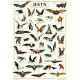 AllPosters Wall Poster Bats, 27x39 Posters & Prints