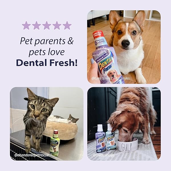 DENTAL FRESH ADVANCED PLAQUE AND TARTAR WATER ADDITIVE, 17OZ – DOG TEETH CLEANING FORMULA TO FRESHEN BREATH AND IMPROVE CAT & DOG DENTAL CARE