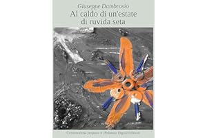 Al caldo di un'estate di ruvida seta (Un'immodesta proposta Vol. 4) (Italian Edition)