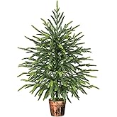Siyaluens 2FT Norfolk Pine Tree with Pot - Tabletop Christmas Tree with Real Touch PE Branch Tips for Front Porch Kitchens Ho