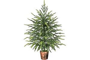 Siyaluens 2FT Norfolk Pine Tree with Pot - Tabletop Christmas Tree with Real Touch PE Branch Tips for Front Porch Kitchens Home Indoor Outdoor Xmas Decor