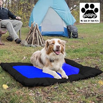 Comfy Double Coating Fabric Waterproof Dual Side Usable Summer and Rainy Special Black/Blue Travel Dog/Cat Bed-L