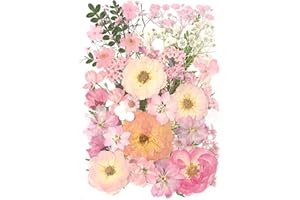 AHTONG 14 Types Pink Dried Pressed Flowers for Craft, Leaf Plant Herbarium for Resin Molds Jewelry Making Floral Decors (Peach Fuzz)