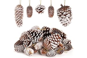 JOHOUSE 28PCS Natural Pine Cones with Strings, Hanging Christmas Ornaments, Garland/Wreath DIY, Autumn Winter Vase Fillers & Farmhouse Decor
