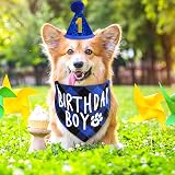 Cobee Dog Birthday Bandana Hat Number Set 10 pcs Blue Glitter 8 Numbers view 2