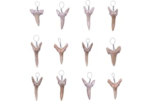 Fun-Weevz Real Fossil Shark Teeth for Jewelry Making, Assorted Sharks Tooth Pendant Jewelry Accessories for Necklace, Small Bulk Lot Assorted Size and Color Wire Wrapped Fossils