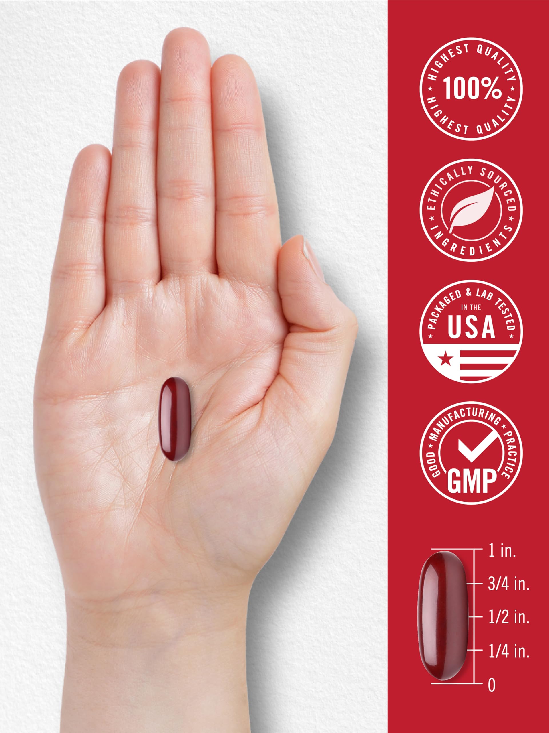 Carlyle Antarctic Krill Oil 2000 mg 120 Softgels | Omega-3 EPA, DHA, with Astaxanthin Supplement Sourced from Red Krill | Maximum Strength | Laboratory Tested