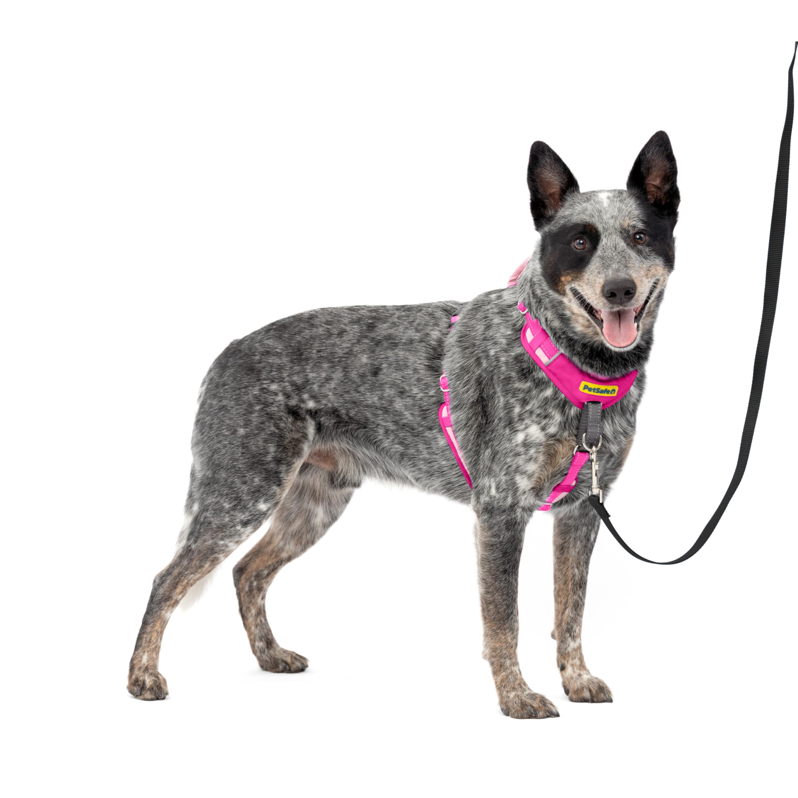 Photo 1 of PetSafe Easy Walk Comfort No-Pull Dog Harness Full-Body Padding - Better Walks on The First Use - 5 Points of Adjustment Medium/Large, Pink