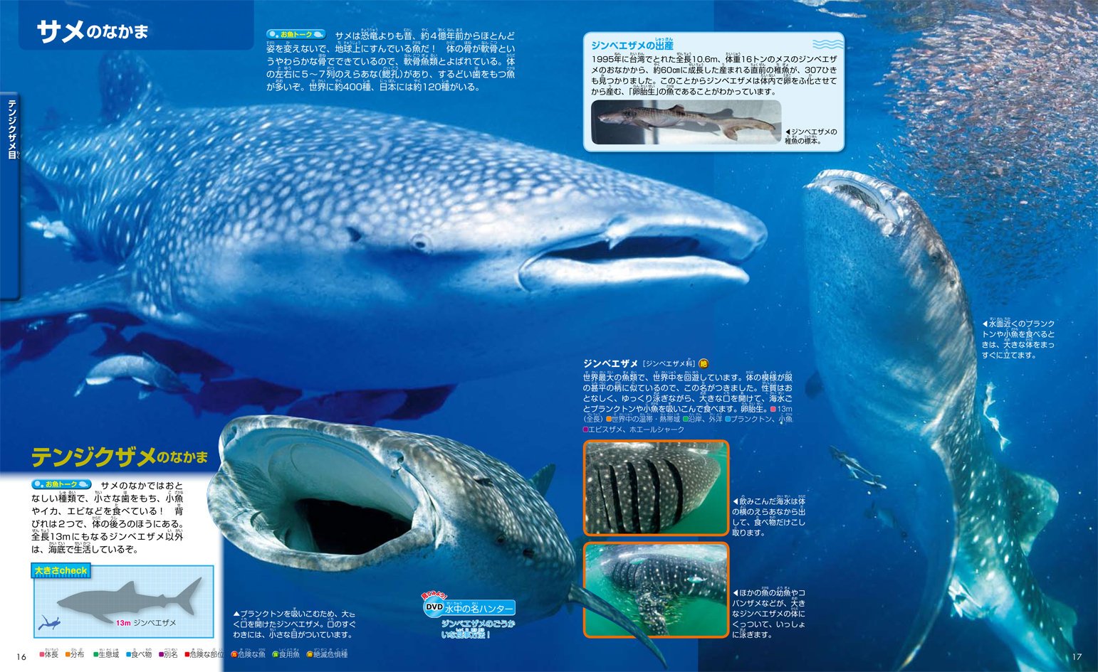 Picture Book Move Of Movement Of The Kodansha Fish Kodansha Amazon Com Books