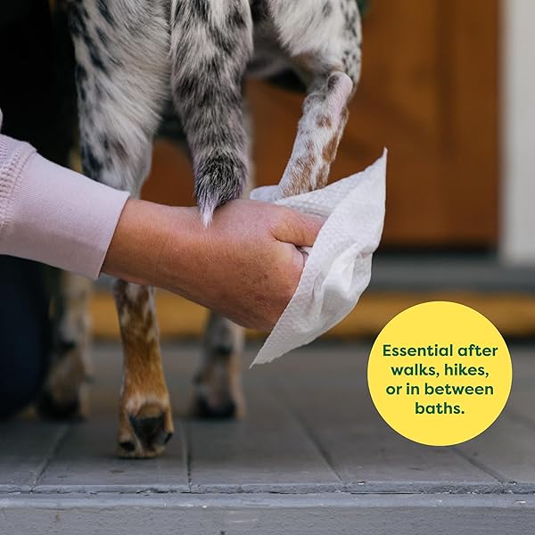 EARTH RATED PET WIPES FOR DOGS AND CATS, HYPOALLERGENIC, CLEANING AND HYDRATING, FOR GROOMING PAWS, BODY AND BUTT, UNSCENTED, 100 COUNT