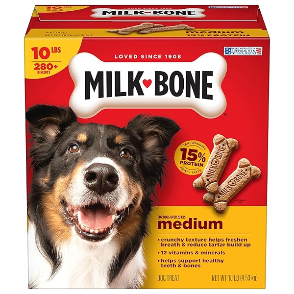 MILK-BONE ORIGINAL DOG TREATS BISCUITS FOR MEDIUM DOGS, 10 POUND