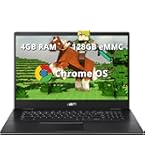 Amazon.com: Asus C423NA Chromebook 14