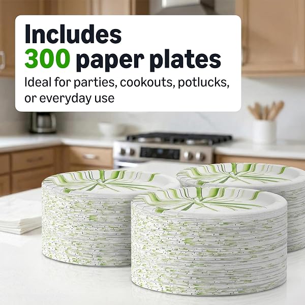 AMAZON BASICS EVERYDAY PAPER PLATES, 8.62 INCH, DISPOSABLE, 300 COUNT, PACKAGING MAY VARY