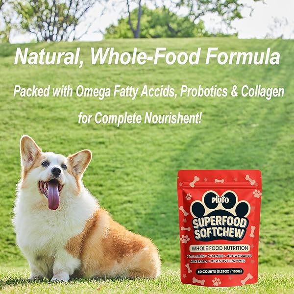 WXDOAU PLUTO SOFTCHEW – 25-IN-1 FORMULA FOR DOGS, SUPPORTS JOINT MOBILITY, DIGESTIVE & SKIN HEALTH, OMEGA & PROBIOTICS FORMULA –SMALL/MEDIUM/LARGE DOGS, SALMON FLAVOR, 60 COUNTS