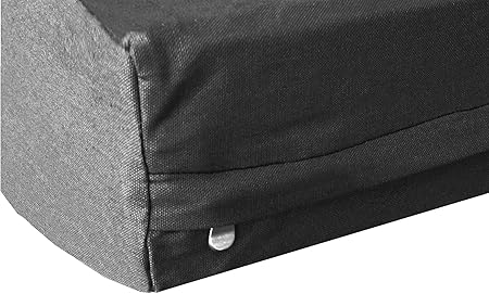 orange cats male or female