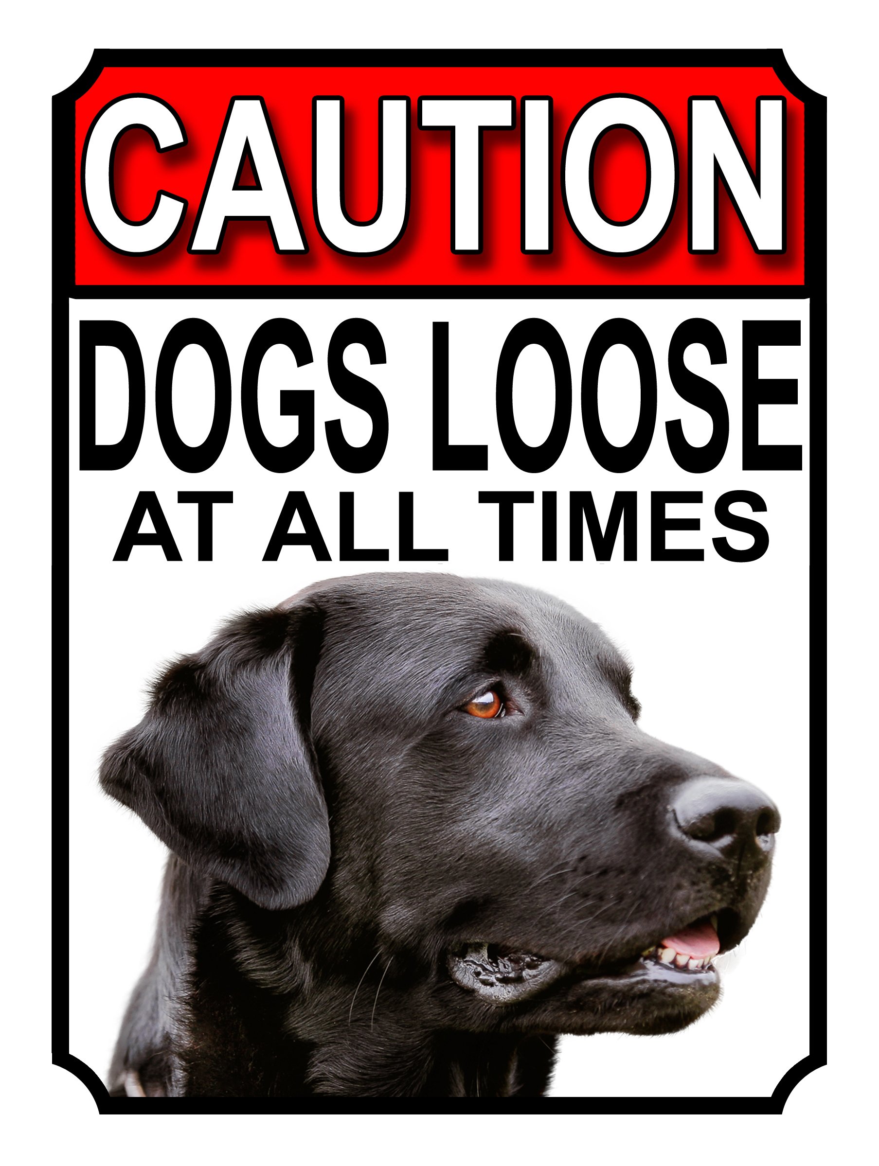 SHAWPRINT CAUTION DOGS LOOSE AT ALL TIMES METAL GATE SIGN BLACK LABRADOR 200MM X 150MM (1177H1) — image 1