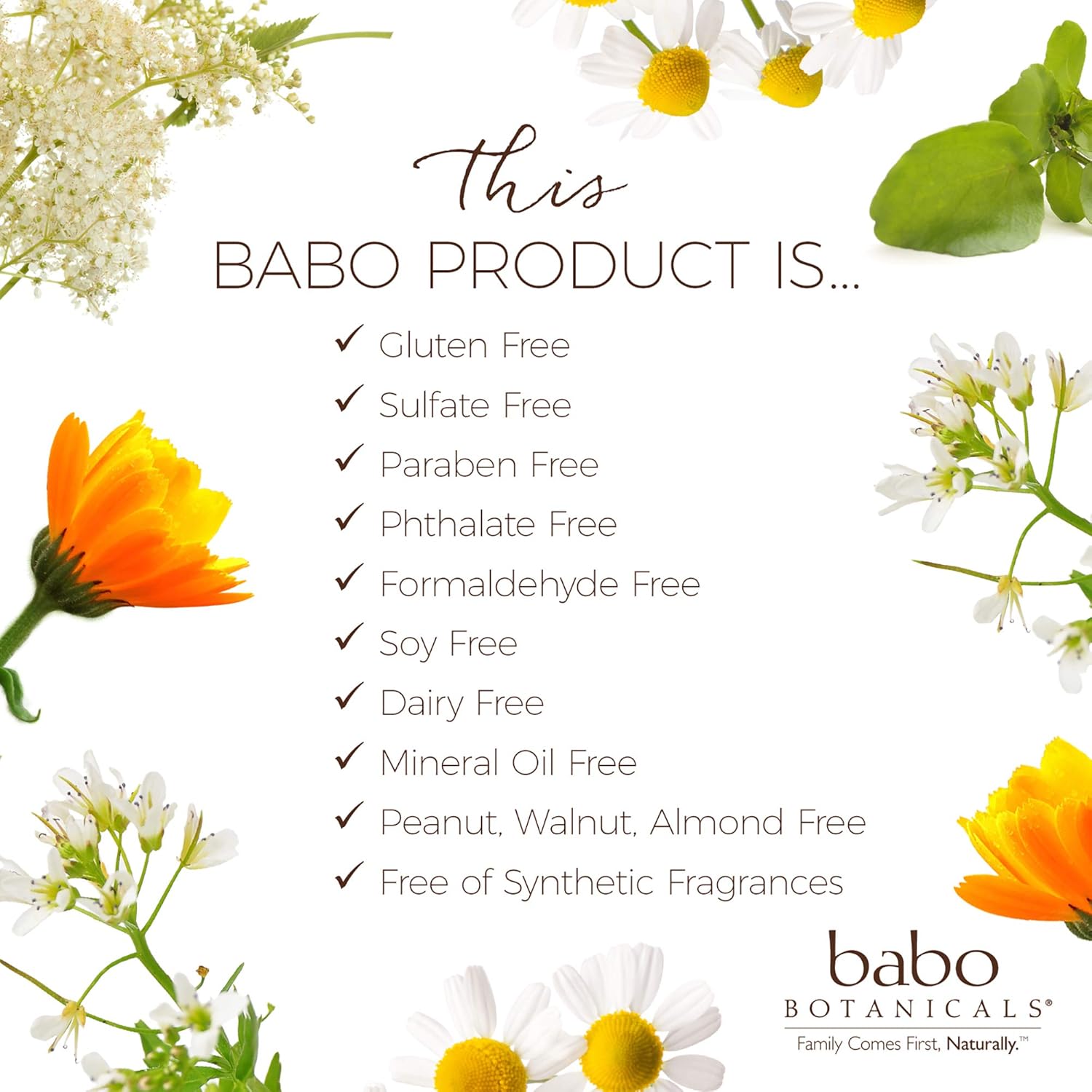 Babo Botanicals Calming 3-in-1 Shampoo, Bubble Bath & Wash with French Lavender and Organic Meadowsweet, Hypoallergenic, Vegan, For Babies and Kids - 15 oz.: Beauty