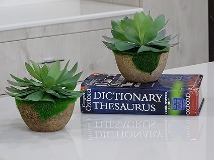 Planters Artificial Plants with Wooden Pots Set of 2