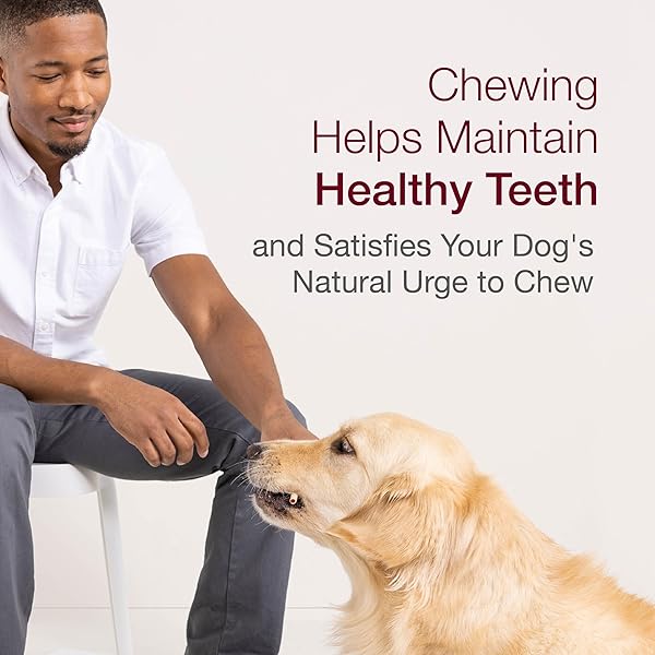SMARTBONES SMARTSTICKS, TREAT YOUR DOG TO A RAWHIDE-FREE CHEW MADE WITH REAL CHICKEN AND VEGETABLES, 10 STICKS