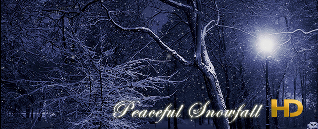 Peaceful Snowfall HD