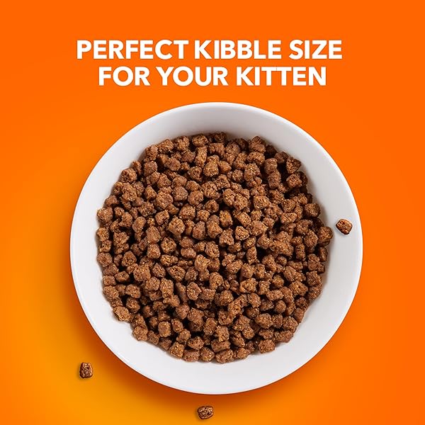 IAMS PROACTIVE HEALTH DRY FOOD FOR CATS – KITTEN – ORIGINAL – 3.18KG