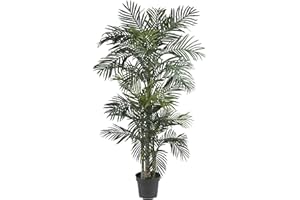 Nearly Natural 6.5ft (78″) Golden Cane Artificial Palm Tree – Lifelike Indoor Silk Palm with 3 Textured Trunks, 333 Flexible Fronds, Nursery Planter, No-Water Maintenance