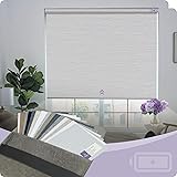 Graywind 100% Blackout Roller Shades Window Blinds