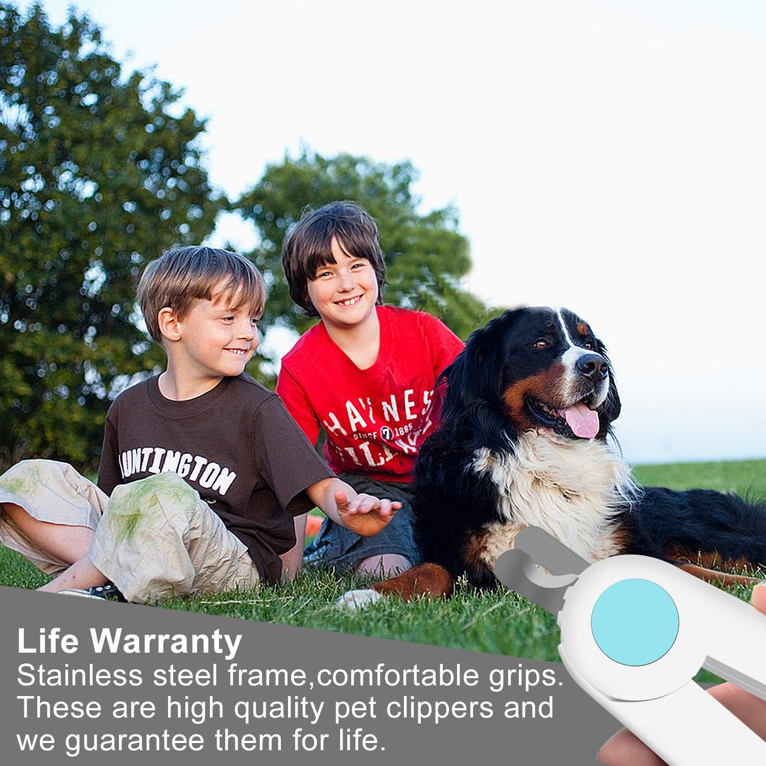 HABOM Dog & Cat Pets Nail Clippers and Trimmers - with Transparent Cover to Avoid Nail Flying, Free Nail File, Razor Sharp Blade - Professional Grooming Tool for Large and Small Animals