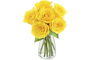 KaBloom PRIME NEXT DAY DELIVERY - Fall Collection - Bouquet of Sunshine 6 Yellow Roses with Vase .Gift for Birthday, Sympathy, Anniversary, Get Well, Thank You, Valentine, Mother’s Day Fresh Flowers