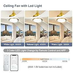 BvenuBigLite Modern Ceiling Fan with Light: White