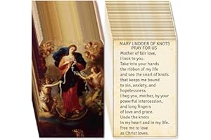 240 pcs Mary Undoer of Knots Cards Christian Religious Gospel Tracts Catholic Prayer Cards Plan of Salvation Inspirational Po
